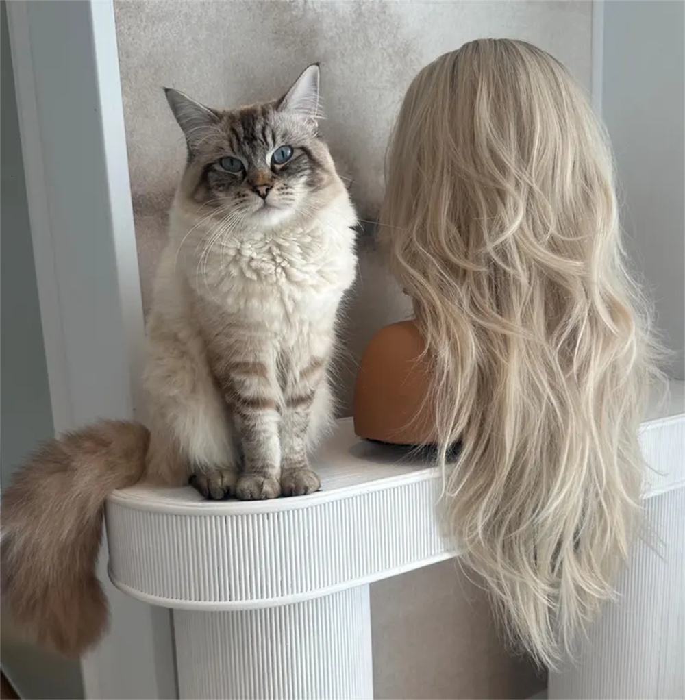 Perruque Lace Front Wig ondulé - Hair Care Wavy Hair avis et prix